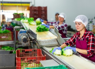 Todos los trabajadores en relación de dependencia tienen derecho a recibir el pago del Bono 14. Foto La Hora: BearFotos/Shutterstock