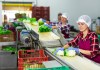 Bono 14: Conozca desde qué fecha se calcula la prestación y a partir de cuándo se debe de recibir Todos los trabajadores en relación de dependencia tienen derecho a recibir el pago del Bono 14. Foto La Hora: BearFotos/Shutterstock