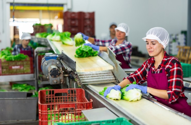 Bono 14: Conozca desde qué fecha se calcula la prestación y a partir de cuándo se debe de recibir Todos los trabajadores en relación de dependencia tienen derecho a recibir el pago del Bono 14. Foto La Hora: BearFotos/Shutterstock
