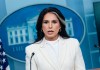 Tulsi Gabbard