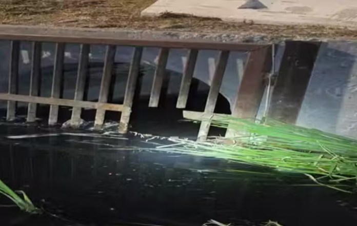 Hallan a 19 migrantes escondidos en túneles de drenaje en la frontera entre México y California. Foto La Hora: Servicio de Aduanas y Protección Fronteriza de EE. UU.