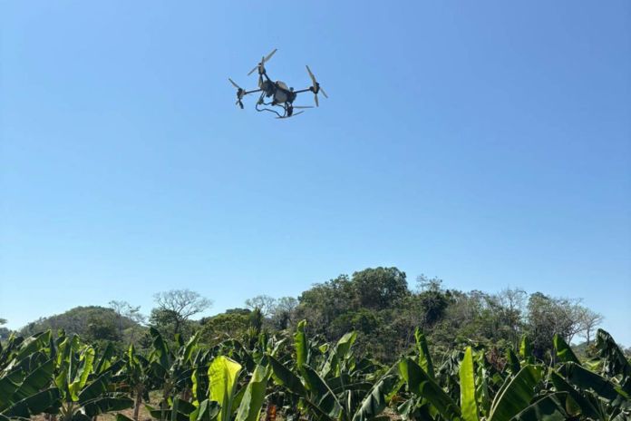 Dron utlizado para fumigar parcelas en La Libertad, Petén. Foto La Hora: EFE