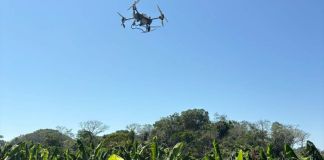 Dron utlizado para fumigar parcelas en La Libertad, Petén. Foto La Hora: EFE