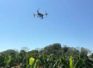 Dron utlizado para fumigar parcelas en La Libertad, Petén. Foto La Hora: EFE