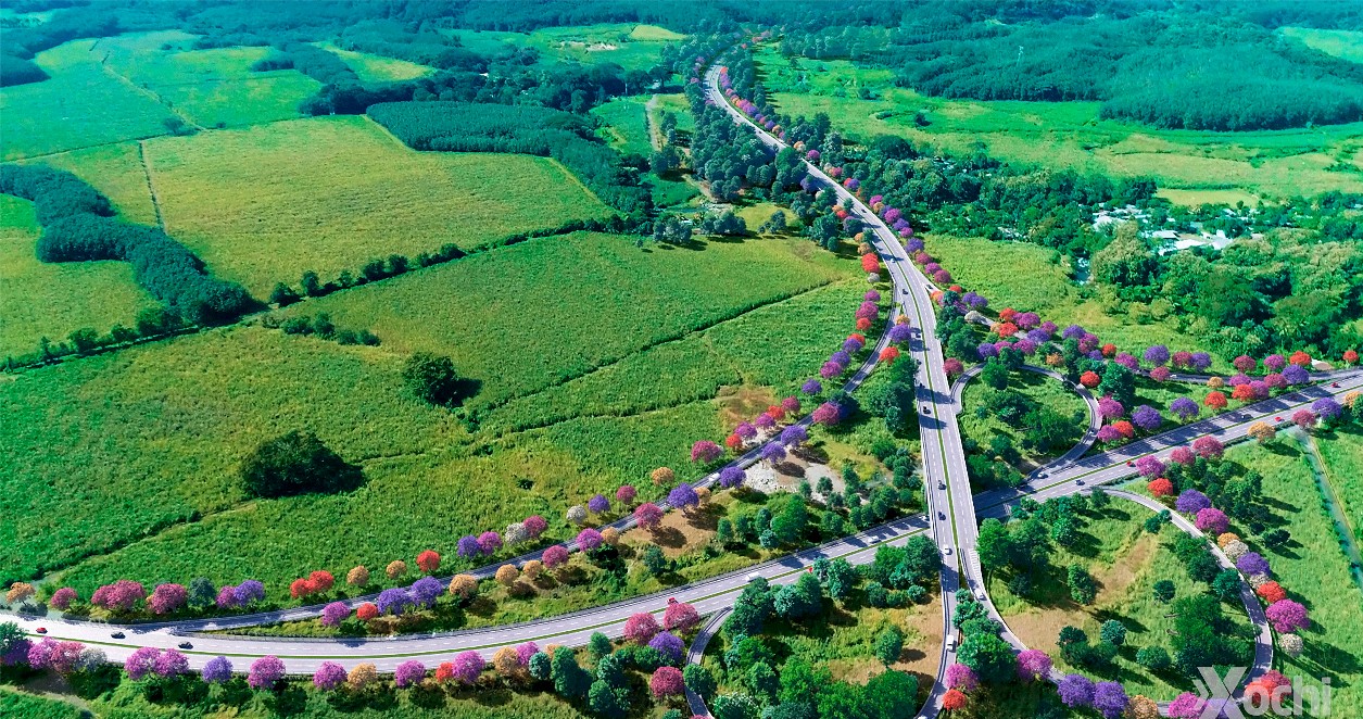Vegetación rodeara la autopista. Foto la Hora: Xochi.