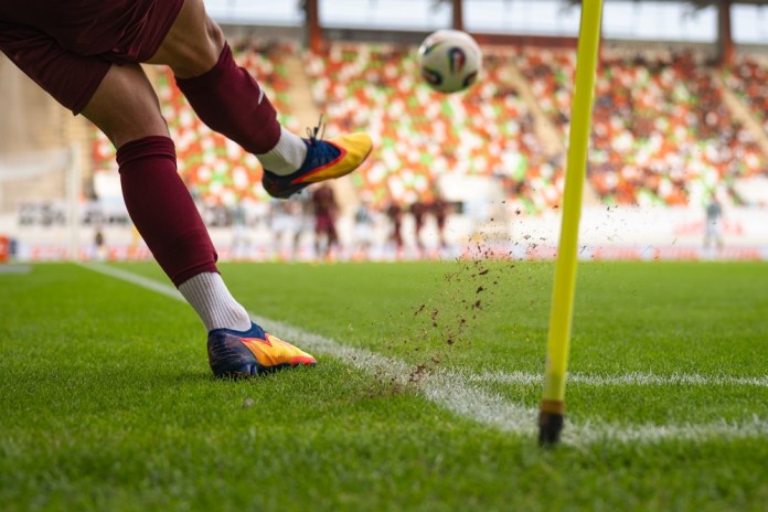 El mejor césped para las canchas del Mundial de Fútbol.