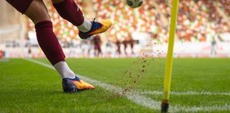El mejor césped para las canchas del Mundial de Fútbol.