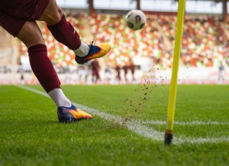 El mejor césped para las canchas del Mundial de Fútbol.