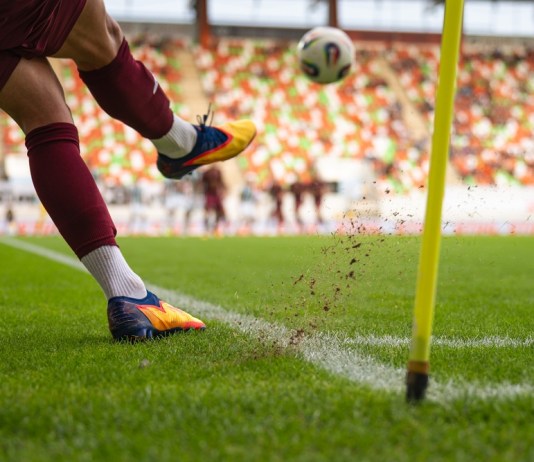 El mejor césped para las canchas del Mundial de Fútbol.