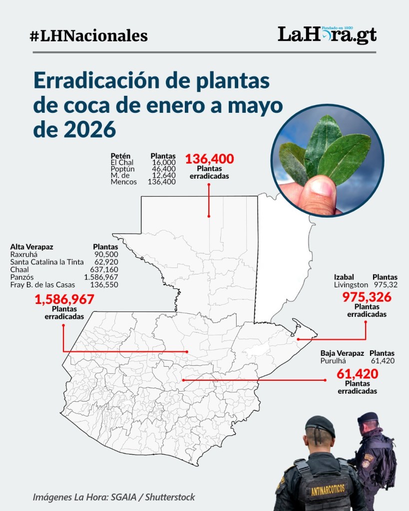 El Ministerio de Gobernación detalló que en municipios de cuatro departamentos han encontrado y destruido las plantaciones de coca.