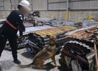 Para la inspección, las fuerzas de seguridad se apoyaron con un agente canino para ubicar la presunta droga procedente de Costa Rica. Foto La Hora: PNC