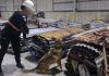 Para la inspección, las fuerzas de seguridad se apoyaron con un agente canino para ubicar la presunta droga procedente de Costa Rica. Foto La Hora: PNC