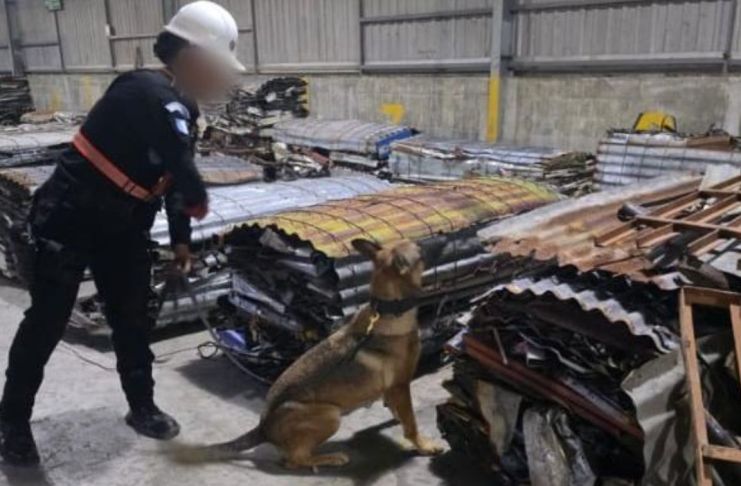 Localizan 65 paquetes posiblemente con cocaína en Puerto Quetzal procedente de Costa Rica Para la inspección, las fuerzas de seguridad se apoyaron con un agente canino para ubicar la presunta droga procedente de Costa Rica. Foto La Hora: PNC