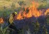 La Conred registra Un total de 1,667 siniestros hasta la fecha. De esta cifra, las autoridades reportan que 1,223 corresponden estrictamente a incendios forestales. Foto La Hora: Conred