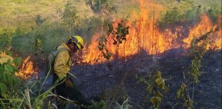 Petén y Quiché, las regiones más afectadas por incendios; Conred reporta 18 siniestros activos La Conred registra Un total de 1,667 siniestros hasta la fecha. De esta cifra, las autoridades reportan que 1,223 corresponden estrictamente a incendios forestales. Foto La Hora: Conred