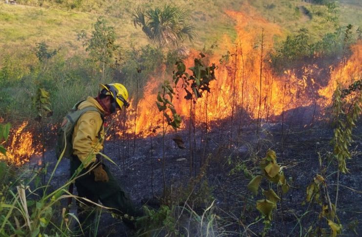 Petén y Quiché, las regiones más afectadas por incendios; Conred reporta 18 siniestros activos La Conred registra Un total de 1,667 siniestros hasta la fecha. De esta cifra, las autoridades reportan que 1,223 corresponden estrictamente a incendios forestales. Foto La Hora: Conred
