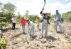 Alerta agrometeorológica: calor extremo amenaza cultivos y al sector agropecuario El MAGA recomienda ajustar fechas de siembra, conservar la humedad del suelo y reforzar agua y sombra para el ganado.
