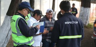 La DGT indicó que los documentos detectados con irregularidades son pólizas de seguro, tarjetas de operación, permisos temporales y permisos expresos.