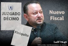 Una golondrina puede hacer verano