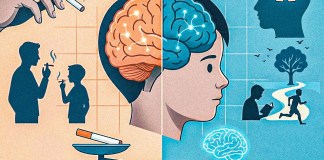 El precio del cigarrillo en el joven: mala reinscripción de su cerebro