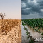Las proyecciones del Insivumeh incluyen una canícula prolongada, entre julio y agosto, seguida por lluvias intensas en el último trimestre del año.
