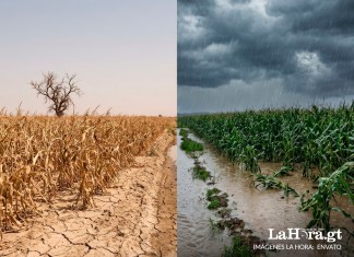 Las proyecciones del Insivumeh incluyen una canícula prolongada, entre julio y agosto, seguida por lluvias intensas en el último trimestre del año.