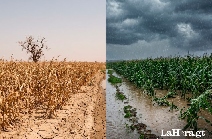 Las proyecciones del Insivumeh incluyen una canícula prolongada, entre julio y agosto, seguida por lluvias intensas en el último trimestre del año.