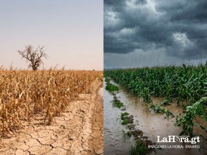Canícula de hasta dos meses seguida de lluvias extremas: el escenario climático que le espera a Guatemala