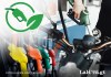 gasolina