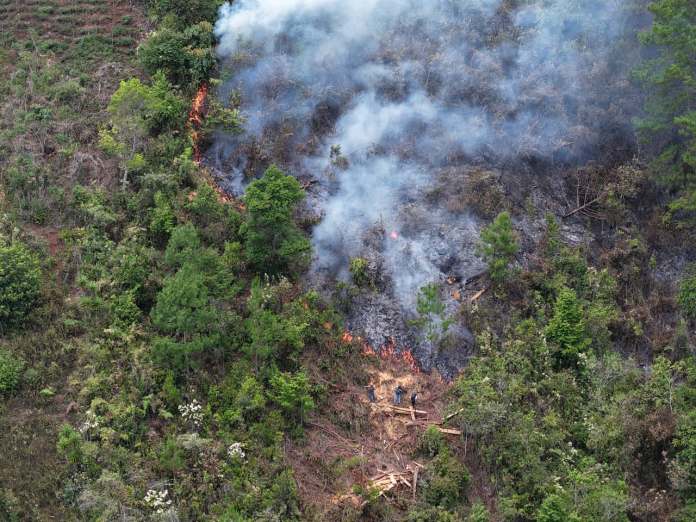 Un total de 23 incendios se encuentran activos este domingo y la mayoría afecta áreas protegidas en Petén, según reportes oficiales.
