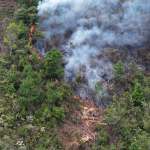 Un total de 23 incendios se encuentran activos este domingo y la mayoría afecta áreas protegidas en Petén, según reportes oficiales.