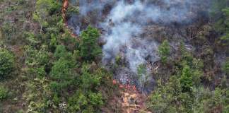Un total de 23 incendios se encuentran activos este domingo y la mayoría afecta áreas protegidas en Petén, según reportes oficiales.