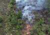 Un total de 23 incendios se encuentran activos este domingo y la mayoría afecta áreas protegidas en Petén, según reportes oficiales.