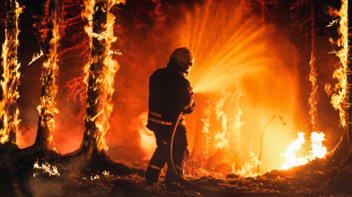 Desde Asia a América, los incendios forestales incrementan debido a las olas de calor provocadas por el cambio climático y la intervención humana. Foto La Hora: Gorodenkoff/Shutterstock