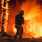 Desde Asia a América, los incendios forestales incrementan debido a las olas de calor provocadas por el cambio climático y la intervención humana. Foto La Hora: Gorodenkoff/Shutterstock