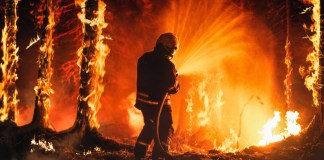 Desde Asia a América, los incendios forestales incrementan debido a las olas de calor provocadas por el cambio climático y la intervención humana. Foto La Hora: Gorodenkoff/Shutterstock