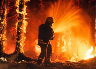 Desde Asia a América, los incendios forestales incrementan debido a las olas de calor provocadas por el cambio climático y la intervención humana. Foto La Hora: Gorodenkoff/Shutterstock