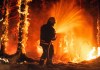 Desde Asia a América, los incendios forestales incrementan debido a las olas de calor provocadas por el cambio climático y la intervención humana. Foto La Hora: Gorodenkoff/Shutterstock