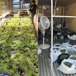 Agentes antinarcóticos de la PNC y personal del MP ubicó los contenedores en una vivienda en San Andrés Itzapa, Chimaltenango.