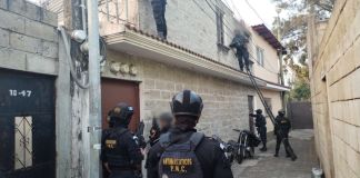 Los operativos se efectúan bajo la dirección de peritos del Ministerio Público y agentes antinarcóticos de la PNC.