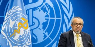 Sobre el hantavirus, la Organización Mundial de la Saludd (OMS) aseguró que el riesgo para la población de las Islas Canarias "es bajo".