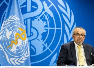 Sobre el hantavirus, la Organización Mundial de la Saludd (OMS) aseguró que el riesgo para la población de las Islas Canarias "es bajo".
