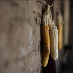 Las autoridades del Ministerio de Agricultura confirmaron afectaciones en la producción agrícola, debido a la sequía.