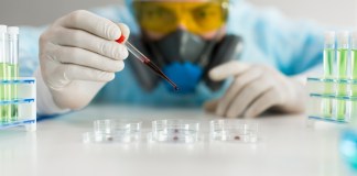 Investigación del hantavirus