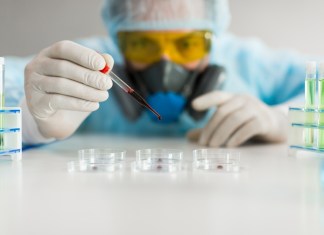 Así escapa el hantavirus al control del sistema inmunitario: ¿Cómo puede evitarse? Investigación del hantavirus