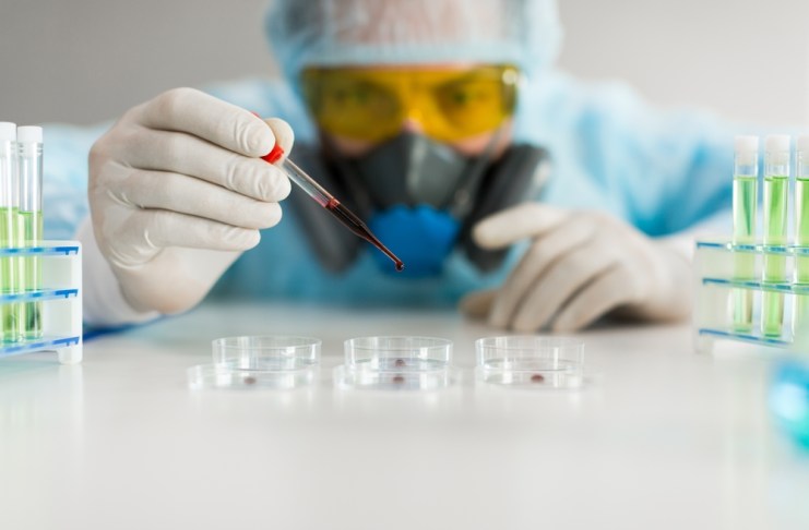 Investigación del hantavirus