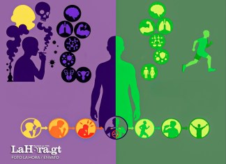 El tabaquismo o vapeo interrumpe bruscamente este desarrollo de los jóvenes adolescentes. Foto: La Hora/ ENVATO