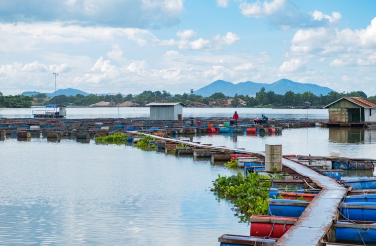 El sector acuícola y de pesca se enfrenta a diversos retos, principalmente por trámites, trazabilidad y tecnología. Foto La Hora: SUKJAI PHOTO/Shutterstock