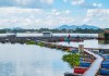 El sector acuícola y de pesca se enfrenta a diversos retos, principalmente por trámites, trazabilidad y tecnología. Foto La Hora: SUKJAI PHOTO/Shutterstock