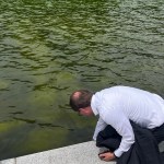 Una persona revisa el agua del estanque reflectante situado frente al Monumento a Abraham Lincoln, que se llenó de algas y tiñeron de verde el agua. Foto La Hora: EFE